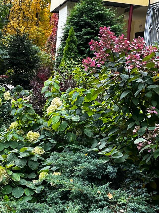 Мини-отель Вернисаж Санкт-Петербург-74