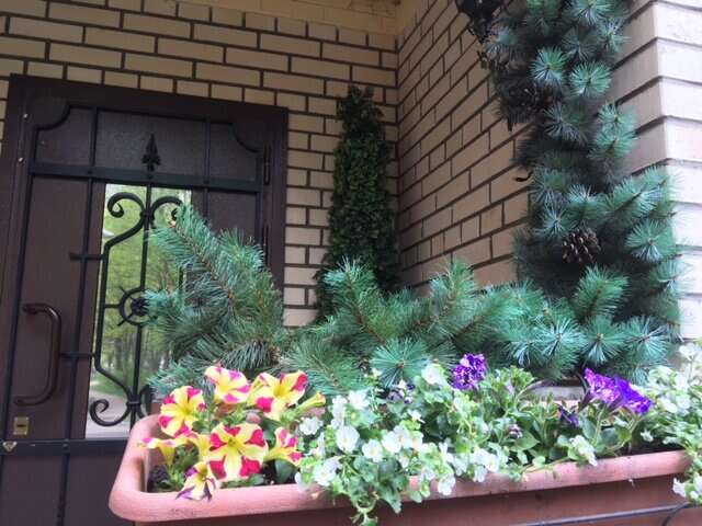 Мини-отель Вернисаж Санкт-Петербург-25